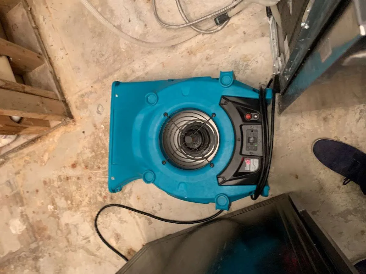 Air mover drying equipment for Mold Remediation & Removal in Bel Air